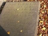 image of grave number 26158